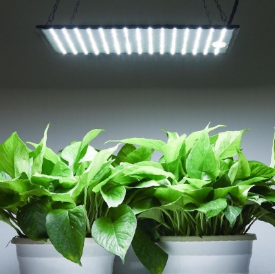 Лампы для растений – светодиодные, led, энергосберегающие, выбор